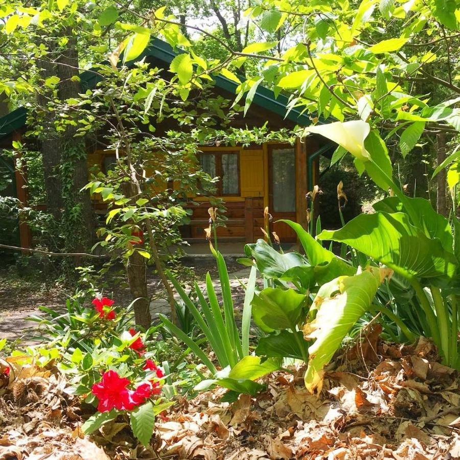 Chalet Etna Milo Ngoại thất bức ảnh